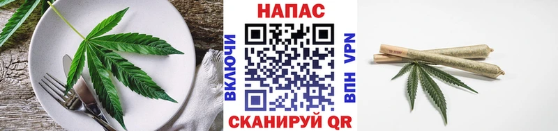 купить наркотик  Курчатов  гидра ССЫЛКА  Canna-Cookies конопля 