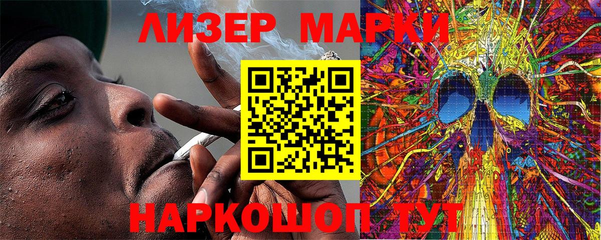 A PVP Курчатов