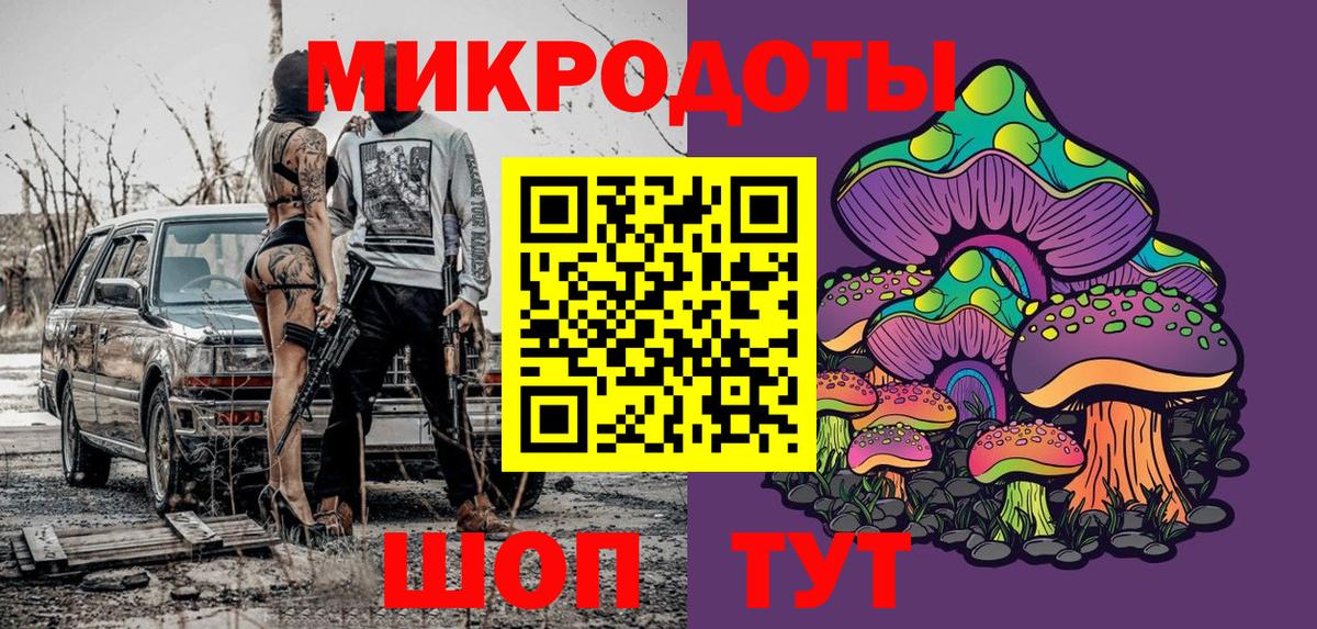 Галлюциногенные грибы Psilocybine cubensis Курчатов