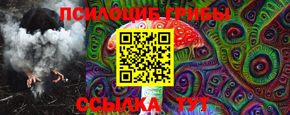 Галлюциногенные грибы Magic Shrooms  купить наркотик  Курчатов  Вход с VPN 